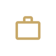 Opportunities Icon