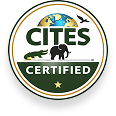Certification Icon