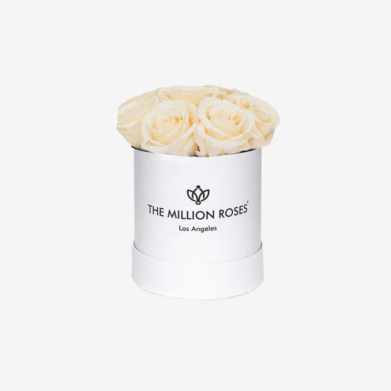 Classic Light Pink Suede Superdome Box | White Roses
