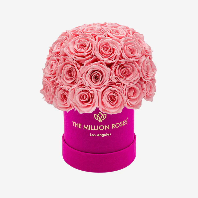 Basic Hot Pink Suede Superdome Box | Light Pink Roses