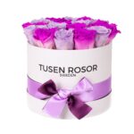 Lila evighetsrosor | Classic box
