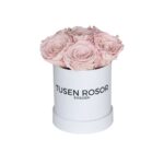 Ljus rosa evighetsrosor | Basic dome