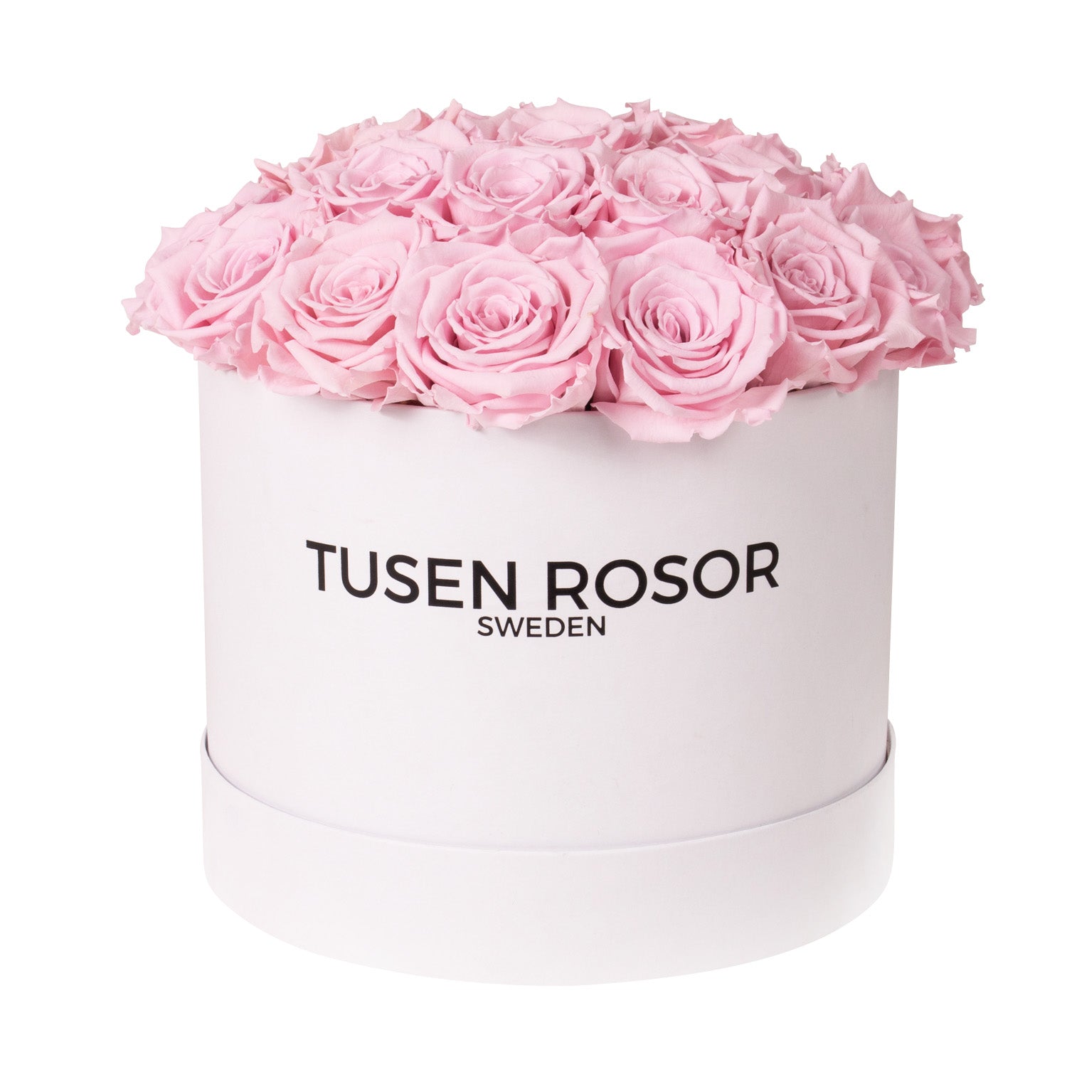 Ljusrosa evighetsrosor | Classic dome box