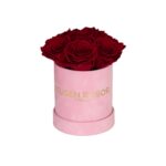 Röda evighetsrosor | Basic dome