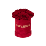 Röda evighetsrosor | Basic dome