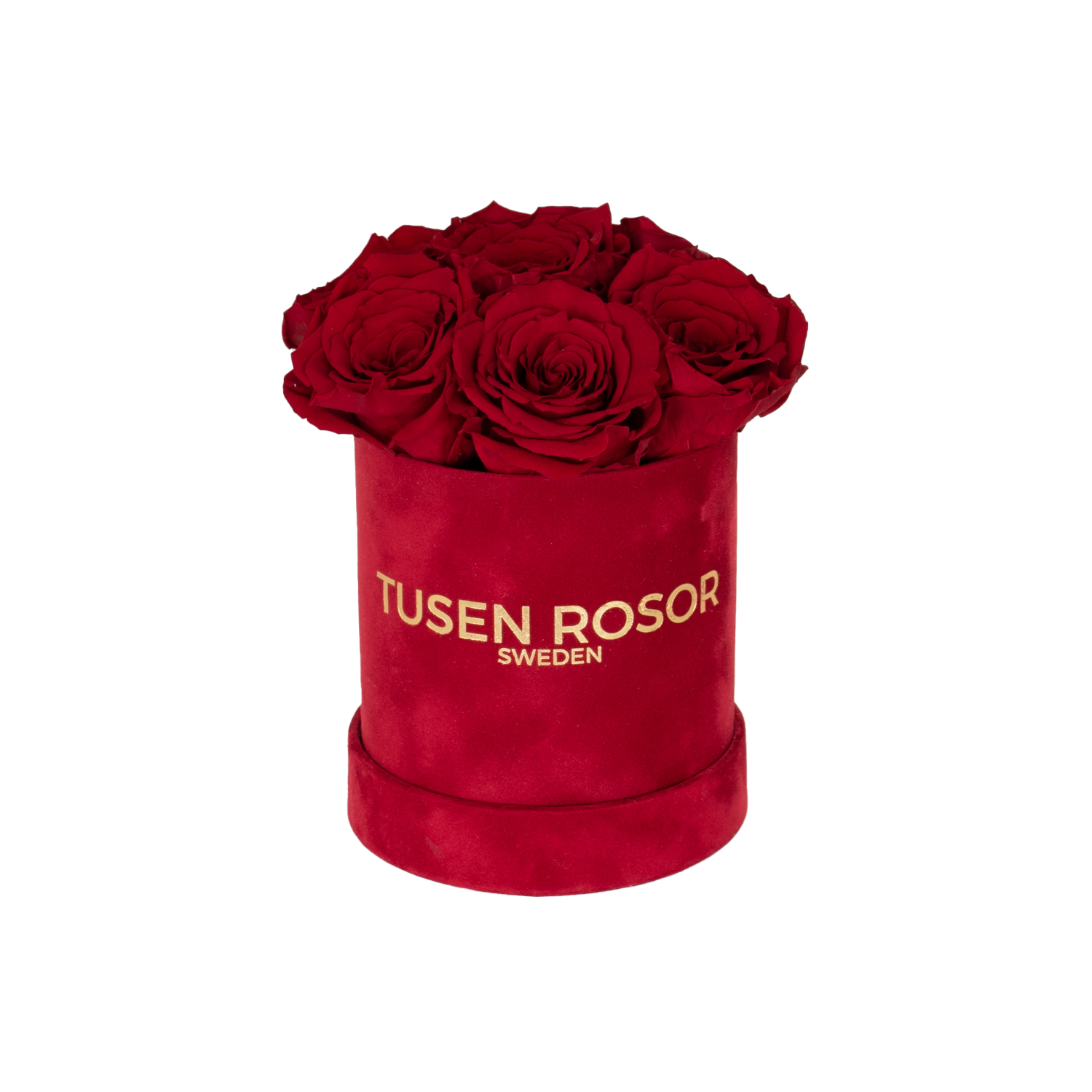 Röda evighetsrosor | Basic dome