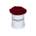 Röda evighetsrosor | Basic dome