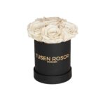 Vita evighetsrosor | Basic dome