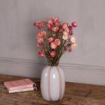 Torkad Eterneller Rosa