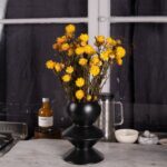 Torkad Eterneller Gul