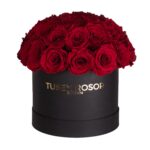 Röda evighetsrosor | Super dome